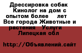 Дрессировка собак (Кинолог на дом с опытом более 10 лет) - Все города Животные и растения » Услуги   . Липецкая обл.